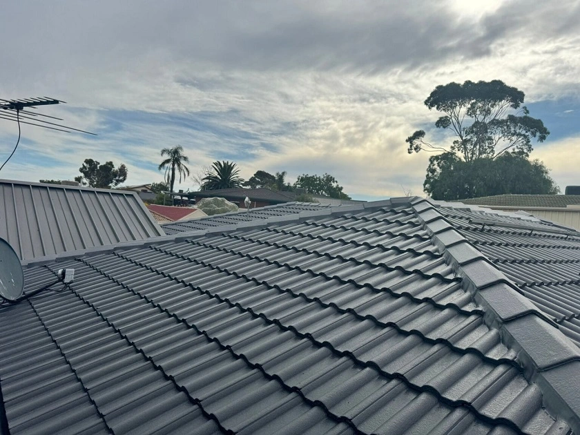 Why You Should Leave Roof Repairs in Adelaide For Professionals?