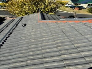 Reasons to Choose Roofing Contractors Adelaide