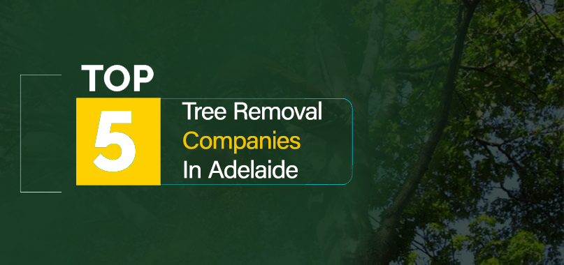 Top 5 Tree Removal Services Adelaide