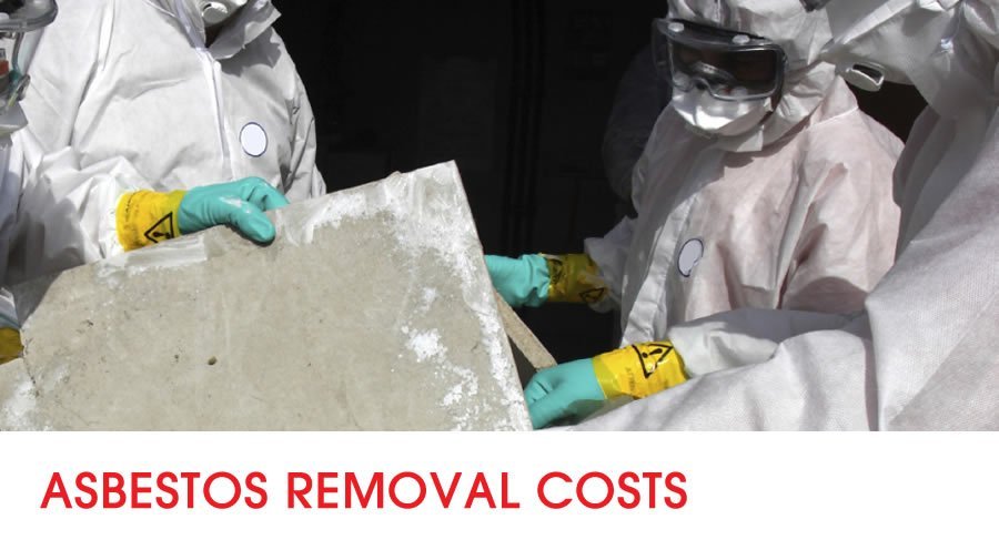 asbestos removal adelaide