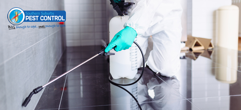 Image Pest Control Service Adelaide