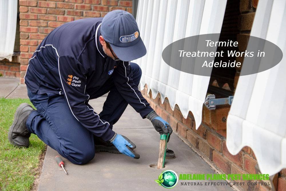 termite treatment Adelaide