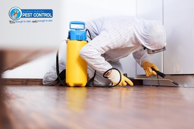 pest control Adelaide