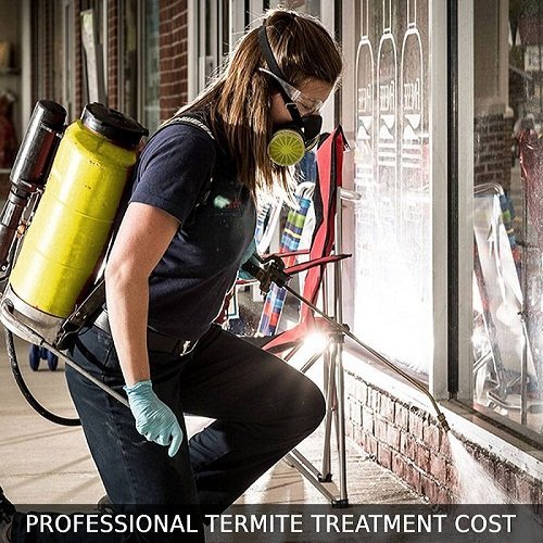 termite treatment Adelaide 