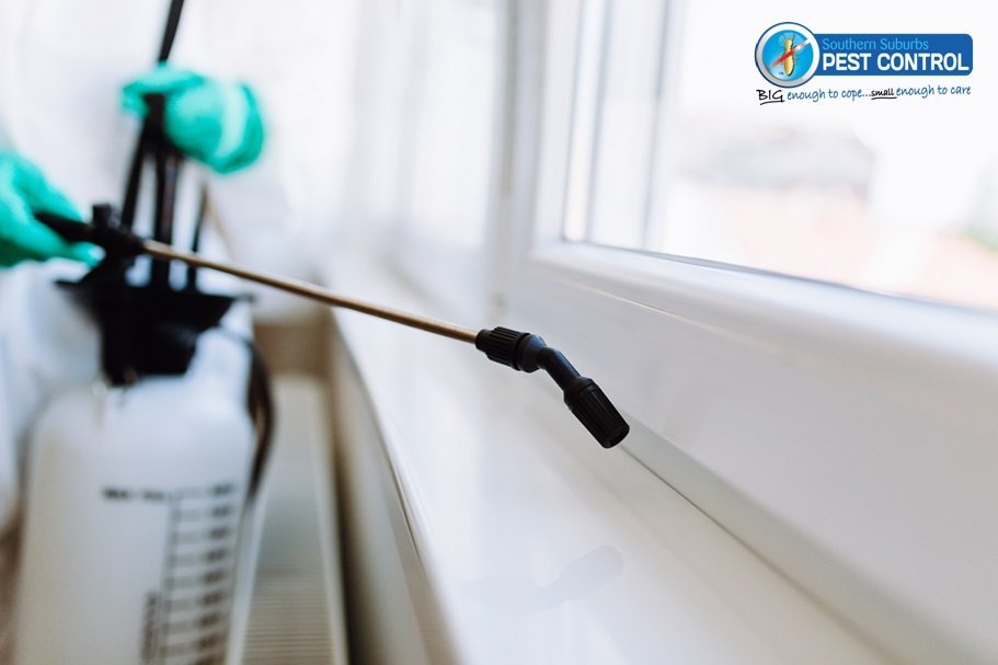 Pest Inspections Adelaide