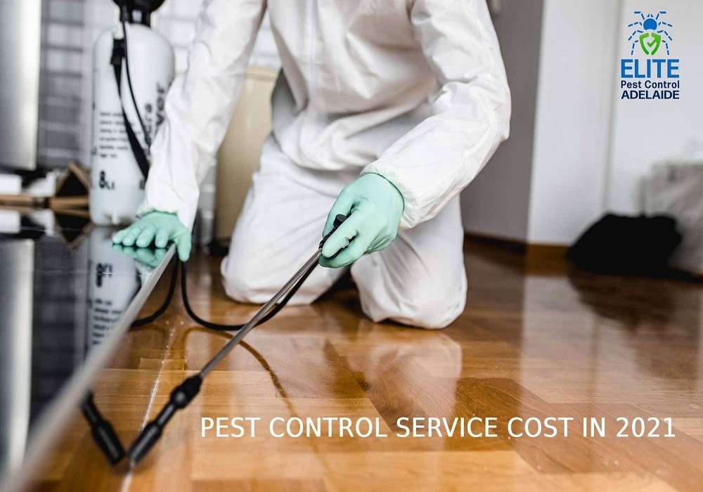 pest control Adelaide