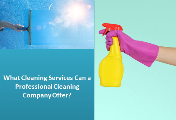 What Cleaning Services Can a Professional Cleaning Company Offer?