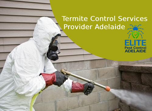 Termite Control Adelaide