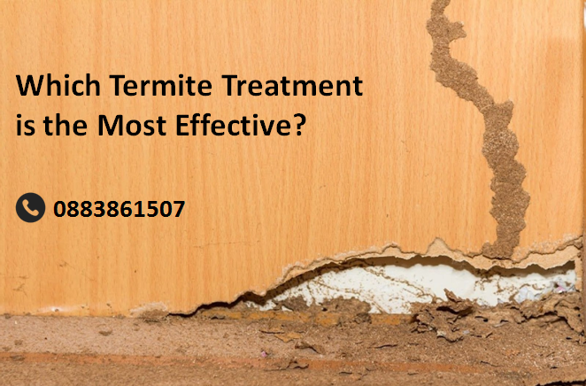 Which Termite Treatment is the Most Effective?