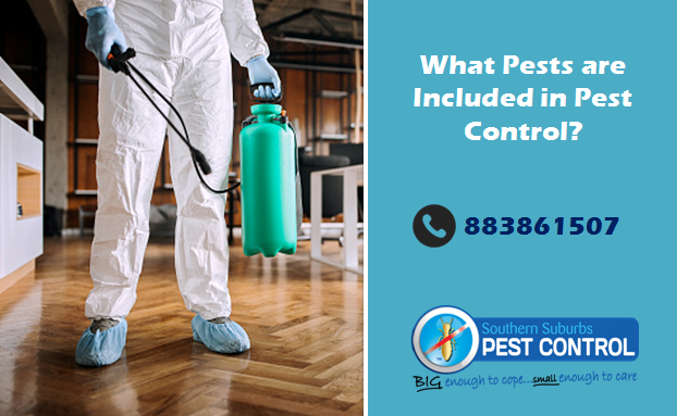 What Pests are Included in Pest Control?