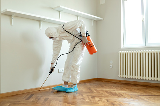What are the Benefits of Pest Inspection for Homeowners?