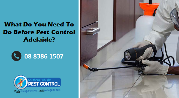 Pest Control Adelaide