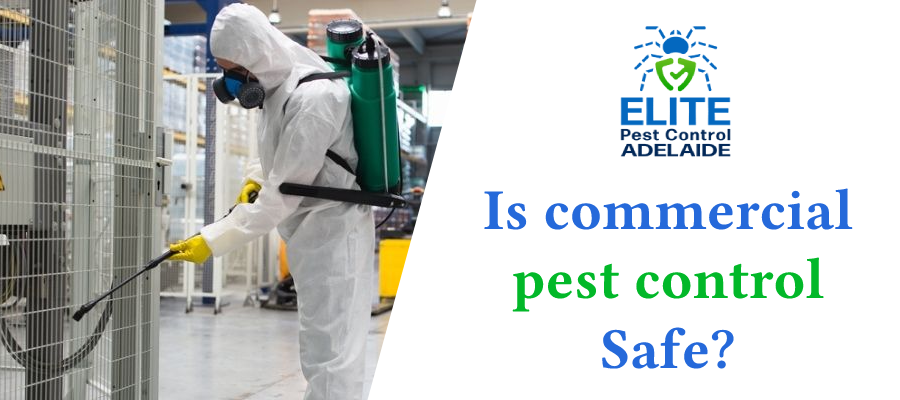Commercial pest control adelaide