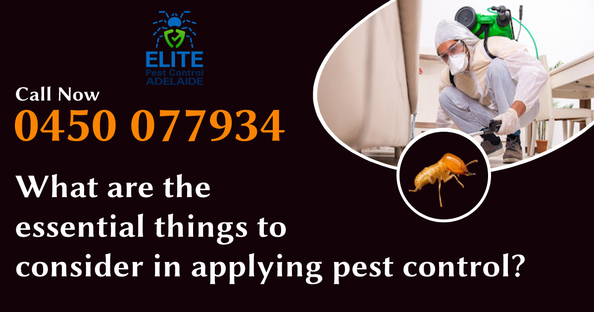 pest control adelaide
