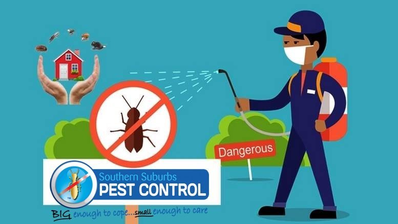 Pest Control Adelaide