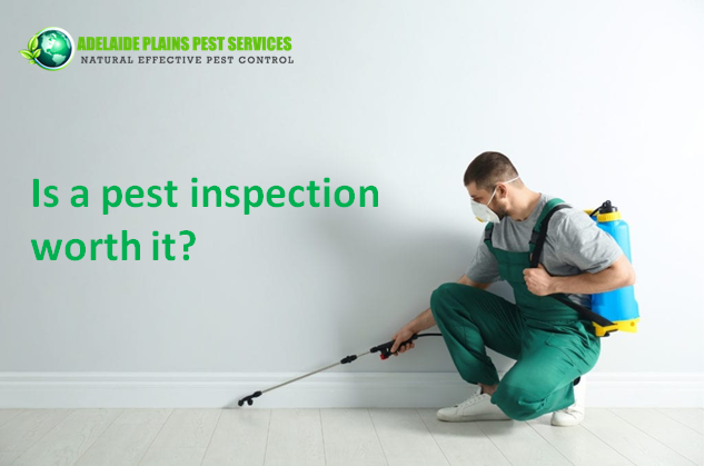 Is a pest inspection worth it?