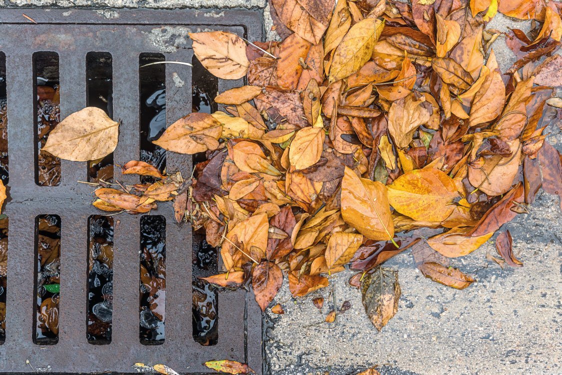 What is the most common cause of blocked drains?