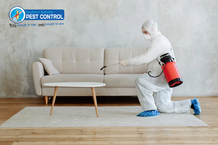 pest control Adelaide