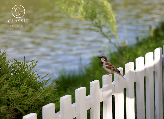 4 Ways to Set a Fence Post without Digging