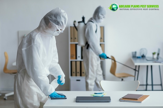 What Time of Year is Best for Pest Control?