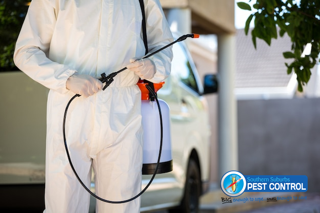 What are the Essential Things to Consider in Applying Pest Control Adelaide?