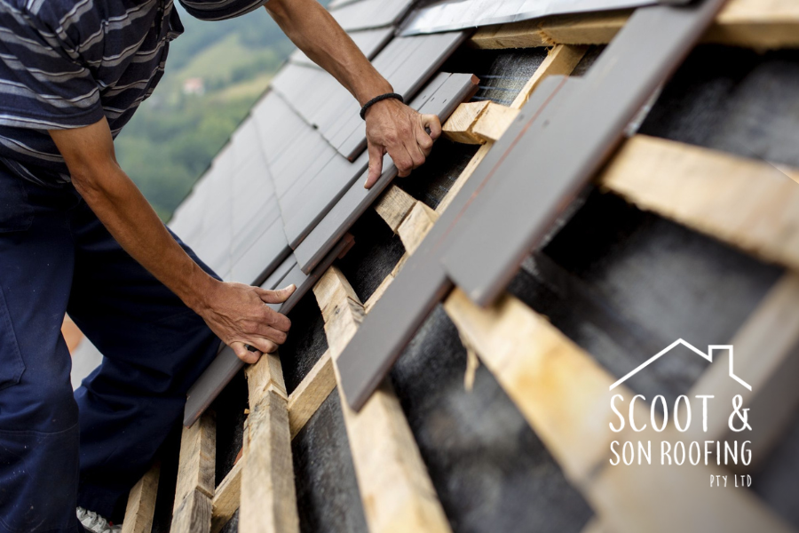 Everything You Need to Know About Roof Restoration and Reroofing