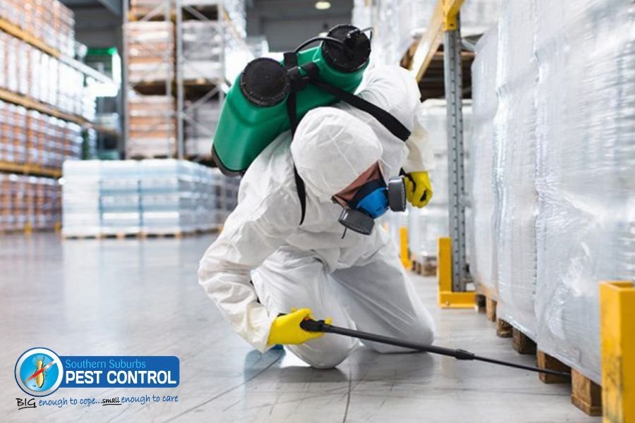 The Importance of Pest Control for Your Business