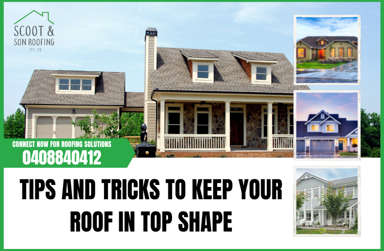 Tips and Tricks to Keep Your Roof in Top Shape