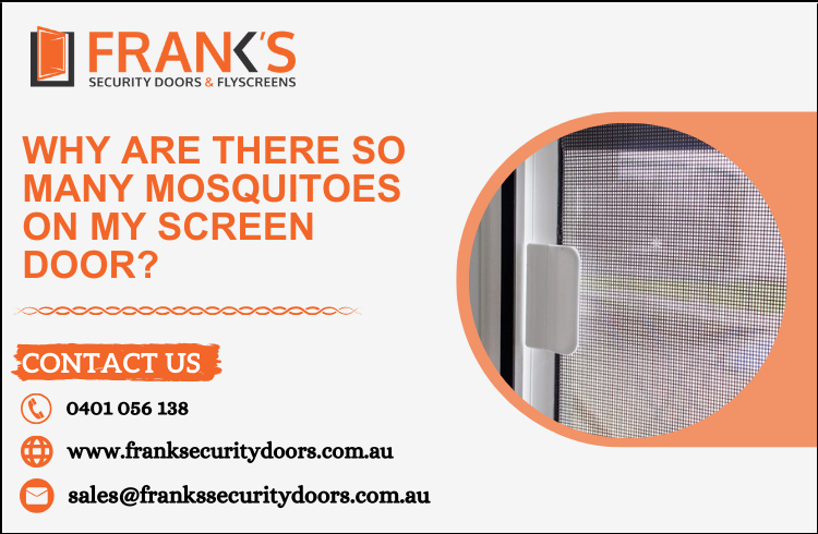 Why are there so many mosquitoes on my screen door