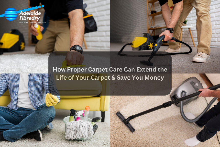 How Proper Carpet Care Can Extend the Life of Your Carpet & Save You Money