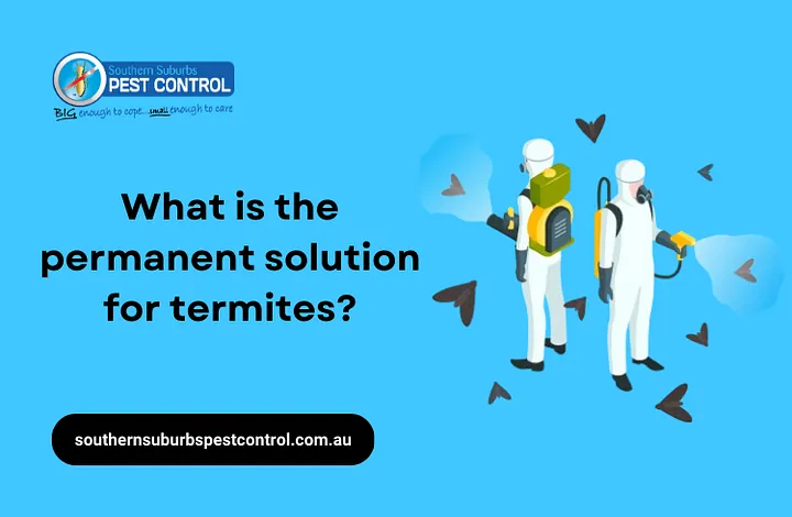What is the permanent solution for termites?