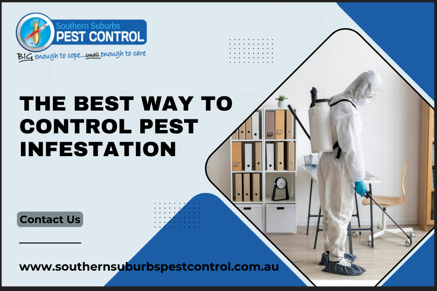 The Best Way to Control Pest Infestation