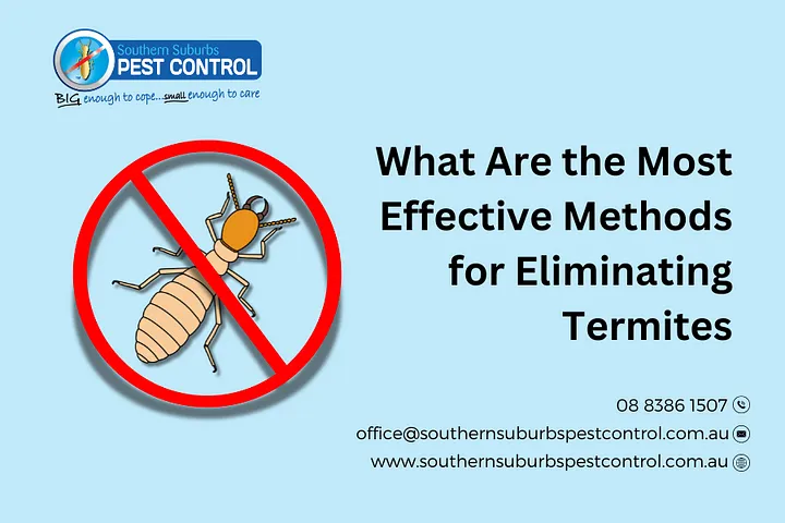 What Are the Most Effective Methods for Eliminating Termites