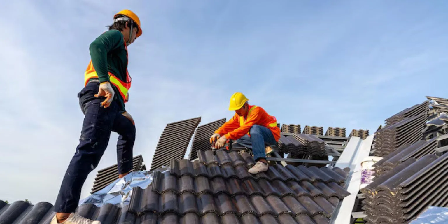 What Are the Key Signs Your Adelaide Roof Needs Restoration