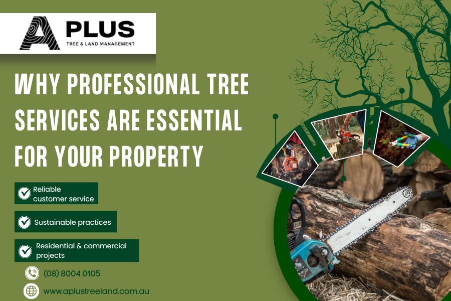 Professional tree Service