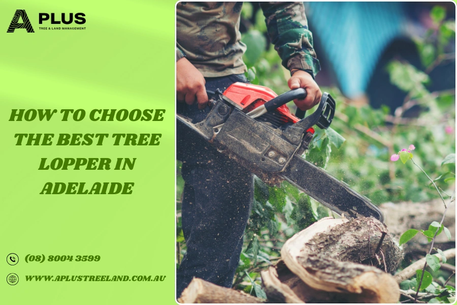 Tree Lopper in Adelaide