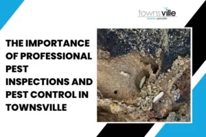 The Importance of Professional Pest Inspections and Pest Control in Townsville