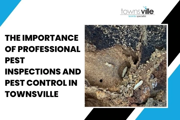 The Importance of Professional Pest Inspections and Pest Control in Townsville