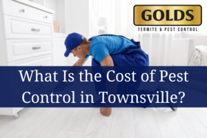 Pest Control Cost in Townsville