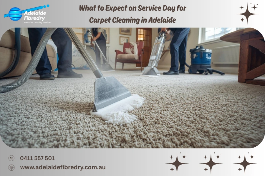 What to Expect on Service Day for Carpet Cleaning in Adelaide
