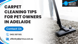 Carpet Cleaning Tips for Pet Owners