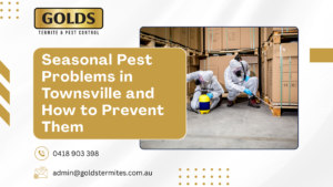 Seasonal Pest Problems in Townsville and How to Prevent Them