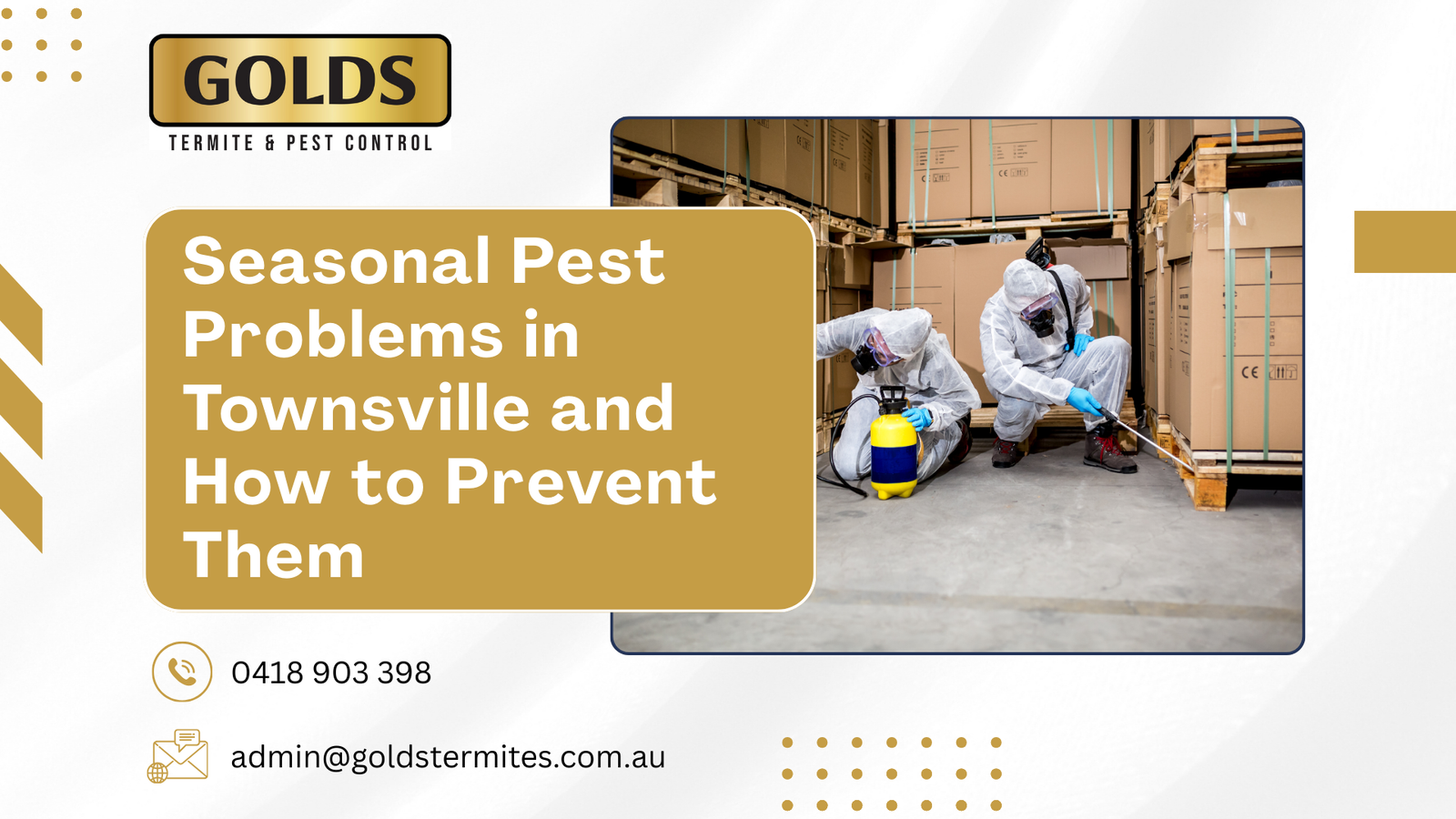 Seasonal Pest Problems in Townsville and How to Prevent Them