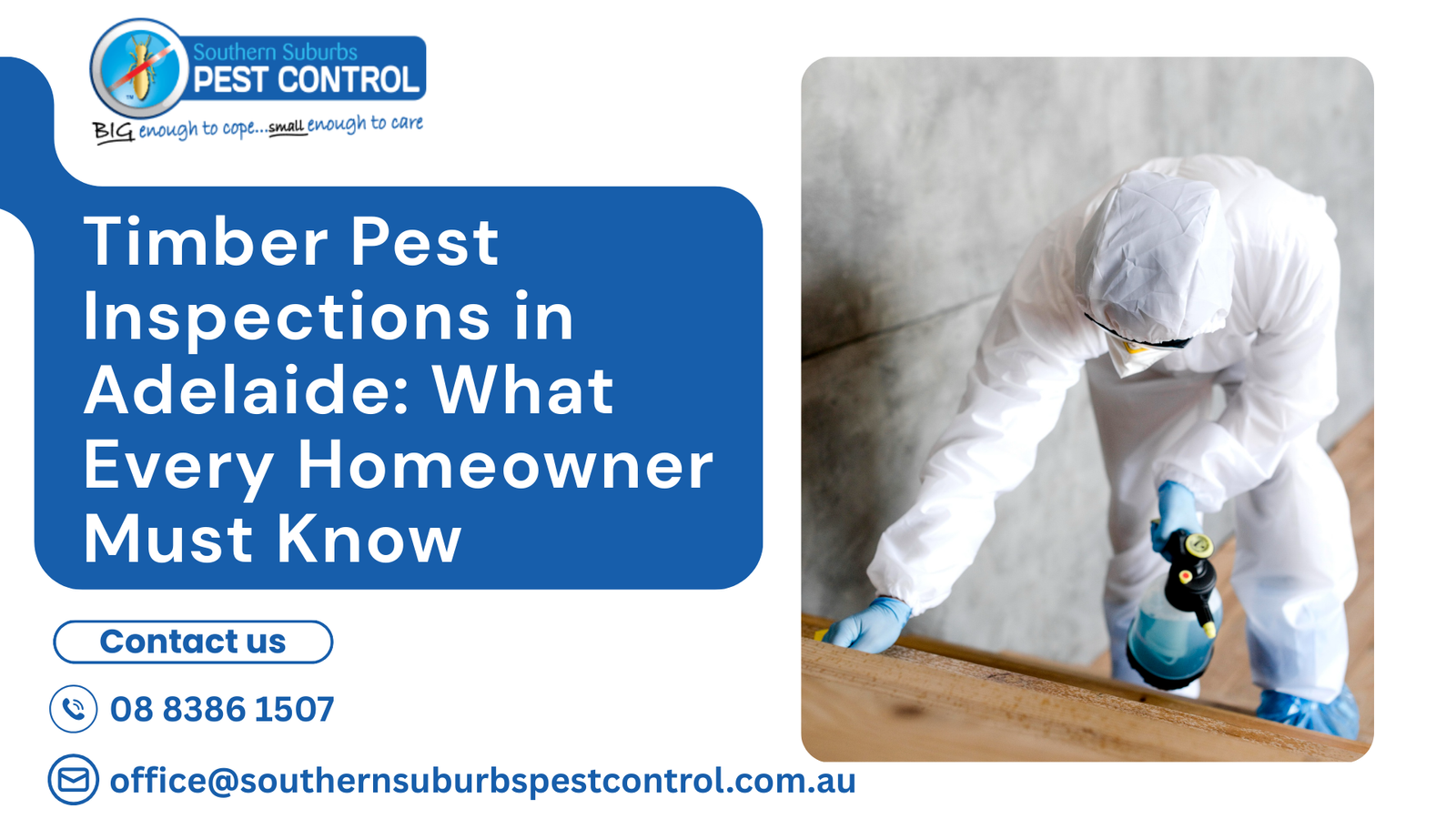 Timber Pest Inspection