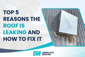 Top 5 Reasons The Roof Is Leaking And How To Fix It