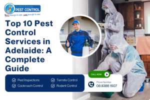 Pest Control Services
