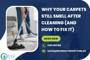 Why Your Carpets Still Smell After Cleaning (And How to Fix It)
